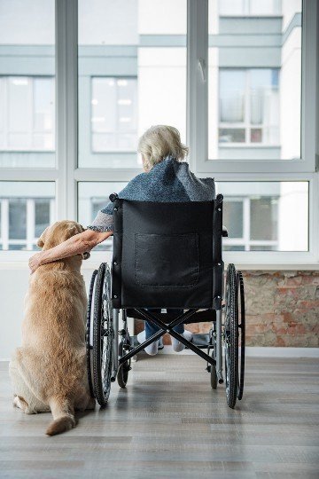 #seniors love their pets and vice versa of course. however, their care can cause unnecessary stress on the human and the pet. not to mention, pets are often trip hazards.